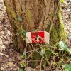 04 Aktion April 25 Feen und Wichtelwald